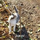 포스마트 이미지