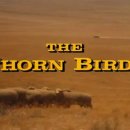 Henry mancini - The Thorn Birds Theme 이미지