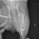 부산 리브동물의료센터 이미지