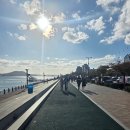 춤추는 바다분수 | 전라도 여행지 추천장소 | 목포 밤바다가 매력적인 평화광장과 춤추는 바다분수