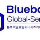 블루글로벌