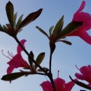 오산 실버케어센터 이미지