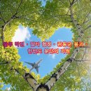 🌏🚀🎖만주 작전ㆍ얄타 협정ㆍ관동군 붕괴ㆍ한반도 분단 기원의 역사 심층 해설‼️ 이미지