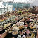 철화농장 이미지