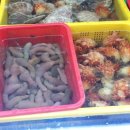 싸다횟집 이미지