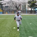 신광초교 이미지