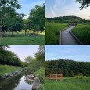 습지원 | 인천대공원 데이트 가족 나들이 시민의숲 습지원 추천 (최근 06.06 기준)