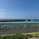 판포리 135 이미지