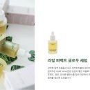 보니따이너뷰티 | 라밀뷰티✨ - 라밀 퍼펙트 글로우 세럼 - 스킨케어 (보니따 코스메틱)