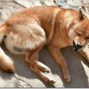 토요일오후 이미지