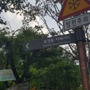 보정동 카페거리 이미지