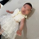역곡로344번길 | 부천 헤이든스튜디오 아기 50일 가족 사진 오가닉데이지 토끼친구들 내돈내산 촬영 후기