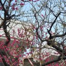 현송요양병원 이미지