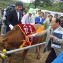 엘리트 한우 이미지