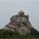 비봉건재