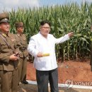 부대농장 이미지