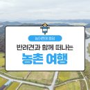 에코왕곡마을 | [농촌체험여행 웰촌🎒] 반려견과 함께 떠나는 농촌 여행🐶