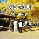 도리 마을회관 | 경주 단풍 명소 하곡리 회관 은행나무 포토존 방문 후기