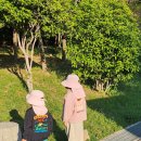 황령산유원지 생태숲 | 황령산 유원지 생태숲 방문기