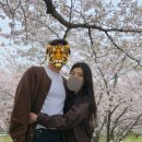 섭이네 포차 | 사천여행 3트