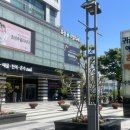글로벌밴드 | W. 종로 가성비 웨딩밴드 투어 후기 100만원대부터 (계약O/견적/내돈내산)