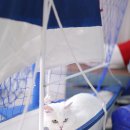 펫더제인 - 용인시 기흥구 구성로279번길 2 | 펫더제인