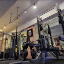 코카머슬로즈PT 이미지