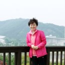 한밭어린왕자 이미지