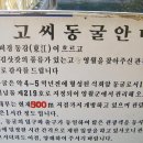 고씨굴 탐방 - 태화산 산행 날머리(청학산악회346차 산행일 2009.11.22) 이미지