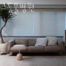 디아크동물병원 이미지