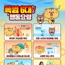 하절기 안전관리 안내 이미지