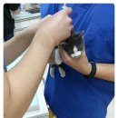 365 신원당 동물병원 이미지