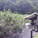 월악산국립공원 단양분소 이미지