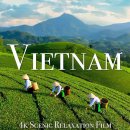 VIETNAM 2 이미지