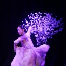 산조, 춤을 담다 이미지