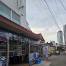 박원균꼬마김밥 | 맛집단천식당 재방문내돈산후기!!속초수산시장중앙시장만석닭강정,박원균꼬마김밥누룽지오징어순대 후기