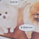 서대구자동차운전전문학원