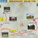 세평하늘 금강송 숲길 75Km 이미지