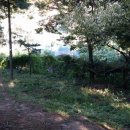 통일로자동차공업사 이미지