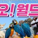 자유공원로 이미지