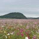 백마강생활체육공원 축구장 이미지