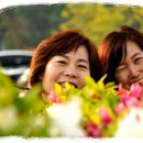 삽시도팬션나라 | (19.05.12) 보령 삽시도 섬여행 풍경!