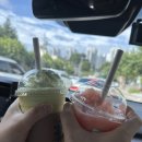 GR(예산군)-[덕산온천로]-하-11 | 7/15-7/16 예산 여행🦦