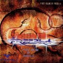 프리버드(FREE BIRD) - 성남시 분당구 | 프리버드(FREE BIRD)