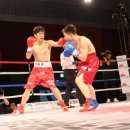 복싱의 신 이미지