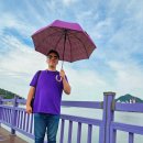 보라해물부대전골 이미지