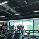 렉스휘트니스 이미지