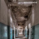 활란노인전문요양원 네이버블로그