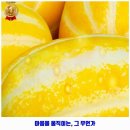 충주시 교현안림동 인근 치과 인플란트치과의원 ᕕ( ᐛ )ᕗ 후기 좋아 추천