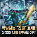 (주)엘앤에프 | 엘앤에프 주가 전망 "호재 이것", 직원 성과급은 얼마?